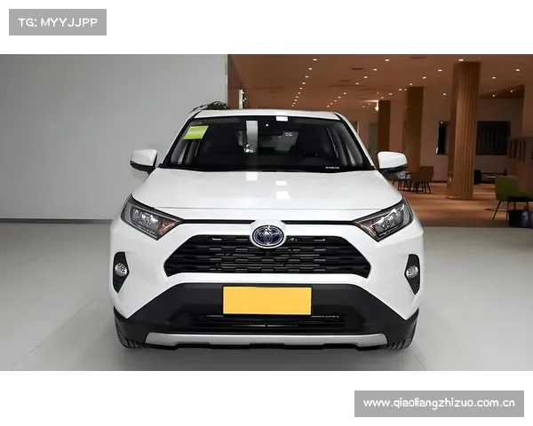 丰田RAV4荣放实测:5.2L油耗+开不坏,打脸新能源值不值? 丰田RAV4荣放实测:5.2L油耗+开不坏,打脸新能源值不值?